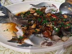 清蒸鲈鱼-禄源公·老莞诚饭店