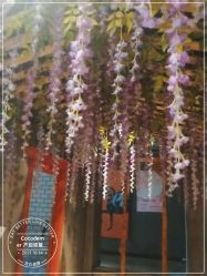 -Cocodemer 产后恢复中心(多伦路店)