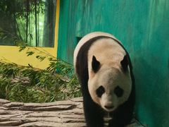 -杭州野生动物世界