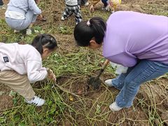 -前小桔亲子创意农场·草莓采摘·露营烧烤