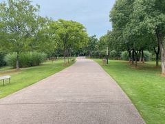 -盘龙城国家考古遗址公园