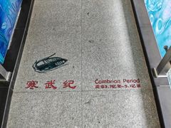 -中国第四纪冰川遗迹陈列馆