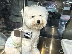 -FAELING PETS美天灵宠物(富力广场店)