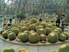 -深圳仙湖植物园