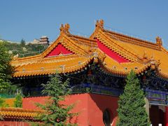 -金城公园