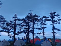 -秦岭风景区