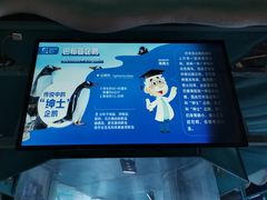 -海合安青岛极地海洋公园