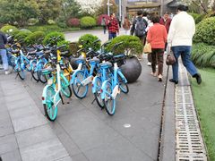 -上海世纪汇广场