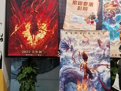 -岽锦泰禾影城(海星广场店)
