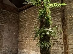 -曲廊院(东四十一条店)