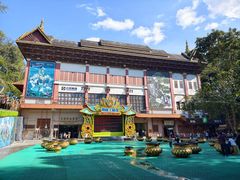 -西双版纳原始森林公园