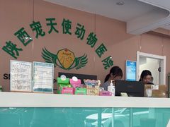 -天使宠物医院·犬猫分诊(彩虹店)