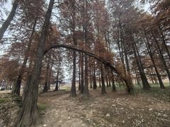 -四明湖