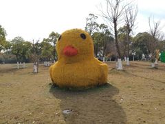 -上海都市菜园