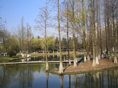 -白塘生态植物园