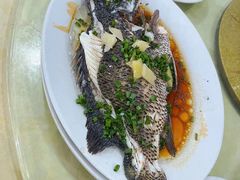 -秋姐美食店(旅游大道店)