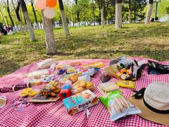 -长白岛森林公园