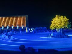 -鼎盛王朝康熙大典实景演出