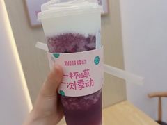 多肉葡萄-悸动烧仙草(包河宁国路店)