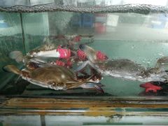 -常家活海鲜小吃(仅一家无分店)