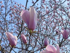 -扬州瘦西湖汇金酒店