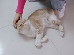 -平行世界·猫咖(首经贸店)