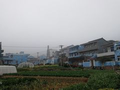 -枸杞岛