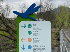 -西湖风景区-江洋畈生态公园