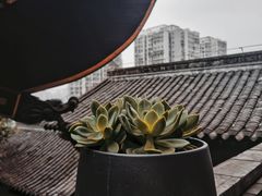 -关岳庙