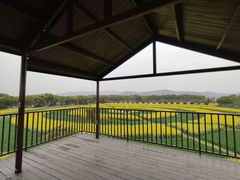 -苏州太湖西山岛开心农场