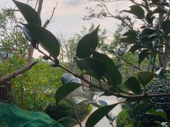 -雅达·阳羡溪山小镇中心