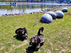 -长春市南湖公园