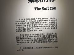 -辰熙ACX星海艺术中心