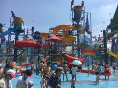 -苏州乐园森林水世界