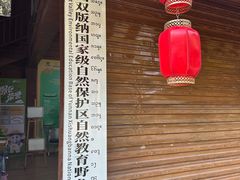 -野象谷景区