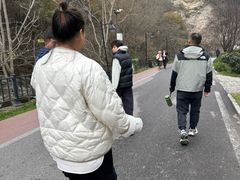 -少华山国家森林公园