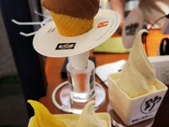 -野人先生Gelato(上海长宁龙之梦店)