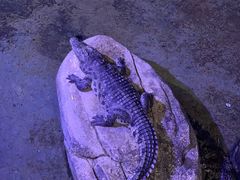 -蓬莱欧乐堡海洋极地世界