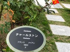 -中之岛公园