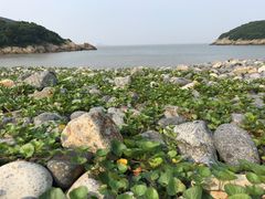 -金海湾海鲜排档(朱家尖店)