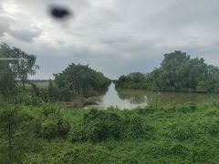 -南沙十九涌渔人码头-南门