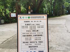 -西双版纳原始森林公园