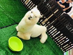 -上海颛桥万达广场