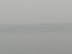 -大湾区中央湿地公园-十九涌