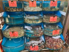 -北戴河庆山饭店·海鲜砂锅粥(北戴河黑石路店)