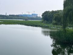 -大兴滨河森林公园