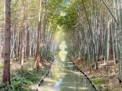 -同里国家湿地公园