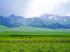 -新疆那拉提国家旅游度假区