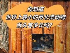-上海大自然野生昆虫馆(东方明珠·爬宠昆虫探索中心)