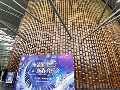 -小荧星艺校(浦东中环分校)